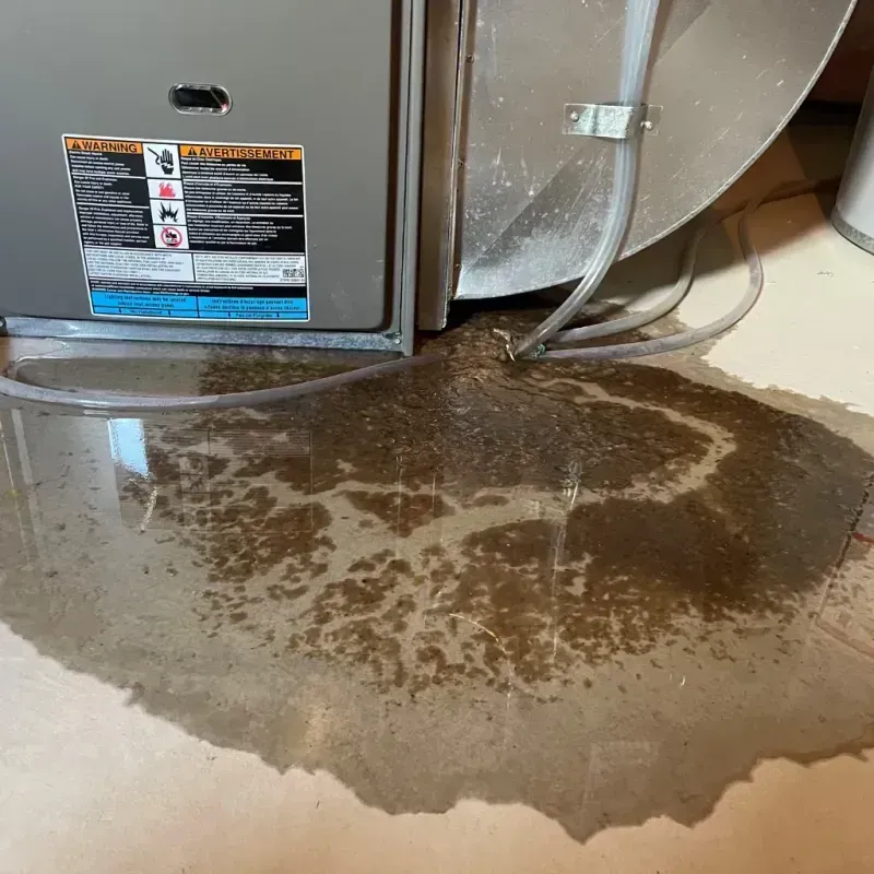 Appliance Leak Cleanup in Palm Beach Shores, FL